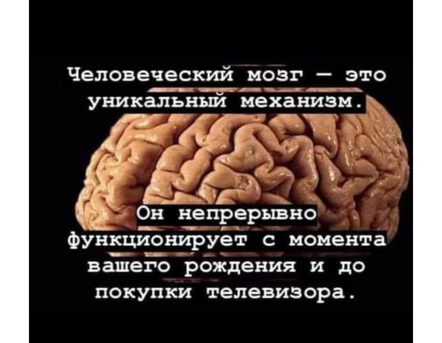человеческий МОЗГ _ это г __ УНИКЫЬНЫЁЙ механизм функционирует с момента вашего рождения и до покупки телевизора
