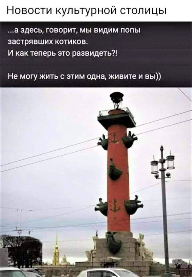Новости культурной столицы а здесь говорит мы видим попы застрявших котиков И как теперь это развидеть Не могу жить с этим одна живите и вы