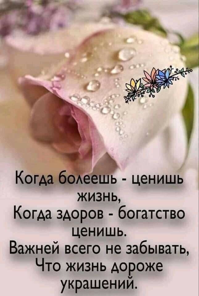 жизнь Когда здоров богатство ценишь Важней всего не забывать Что жизнь дороже украшении