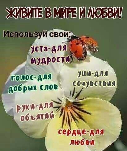 ВЁШ ушидля сочувствия