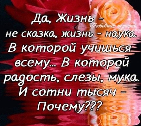 всему В катером рауость слезйзЁміука И сотни тгэіісяч
