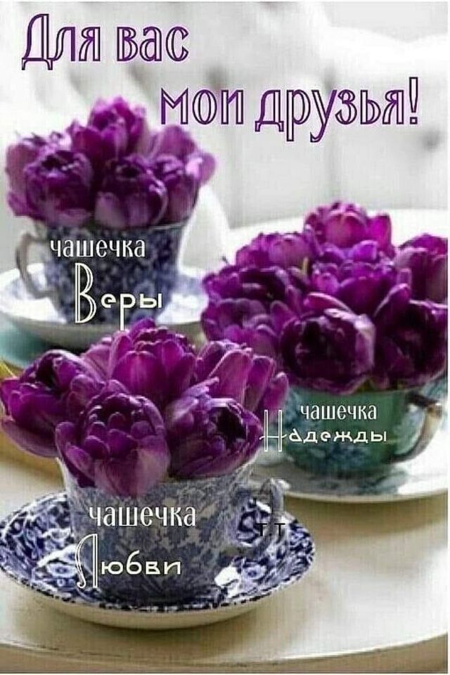 Дит Ваш ДЦЗЗ