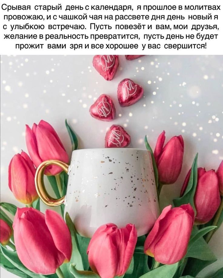 Срывая старый день календаря я прошлое в молитвах провожаю и с чашкой чая на рассвете дня день новый я с улыбкою встречаю Пусть повезёт и вам мои друзья желание в реальность превратится пусть день не будет прожит вами зря и все хорошее у вас свершится