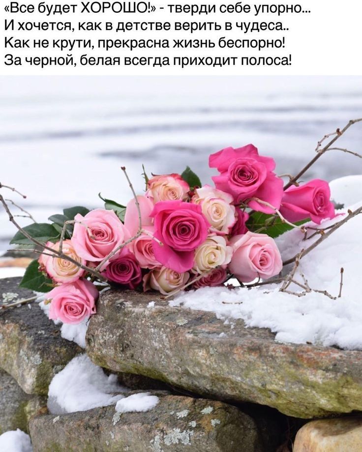 Все будет ХОРОШО тверди себе упорно И хочется как в детстве верить в чудеса Как не крути прекрасна жизнь беспорно За черной белая всегда приходит полоса