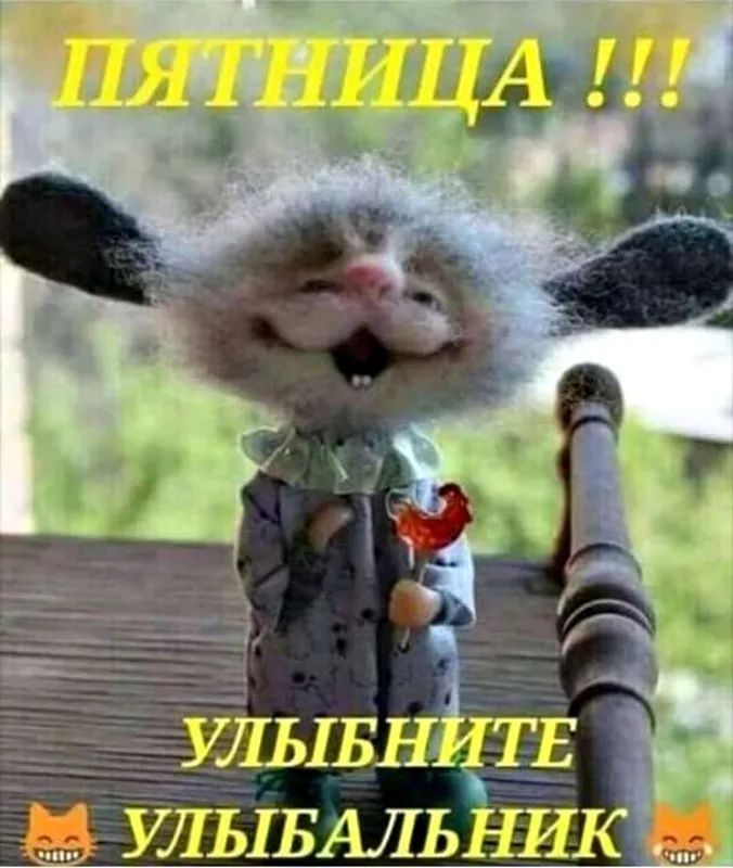 ЦЛЬіБНйТЕ УЛЬіБАЛЬНИК