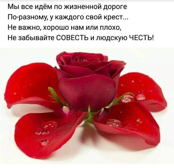 Мы все идём по жизненной дороге По разному у каждого свой крест Не важно хорошо нам или плохо Не забывайте СОВЕСТЬ и людскую ЧЕСТЬ