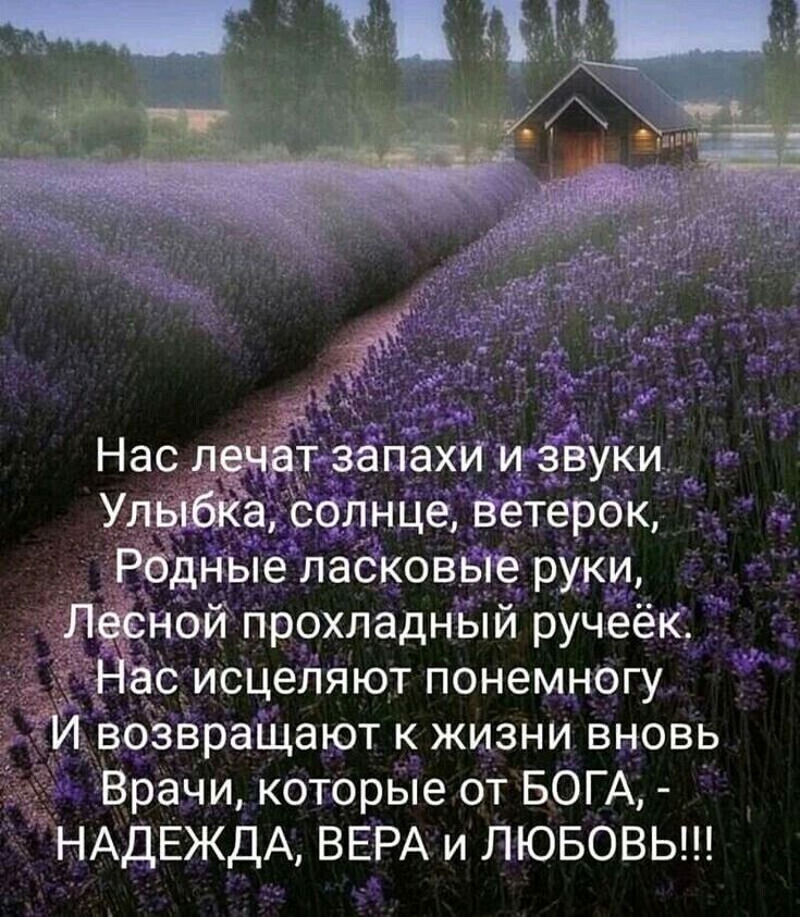 нце ветерок ласков іе ру___и _ ной прохладный ручеёк_ сцеляют понемногу _ во вращают к_ жизни вновь Врачи которые от БОГА НАДЕЖДА ВЕРА и ЛЮБОВЬ