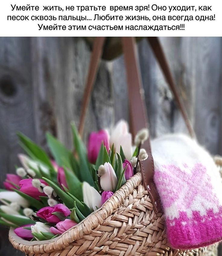Умейте жить не тратьте время зря Оно уходит как песок сквозь пальцы Любите жизнь она всегда одна Умейте этим счастьем наслаждаться