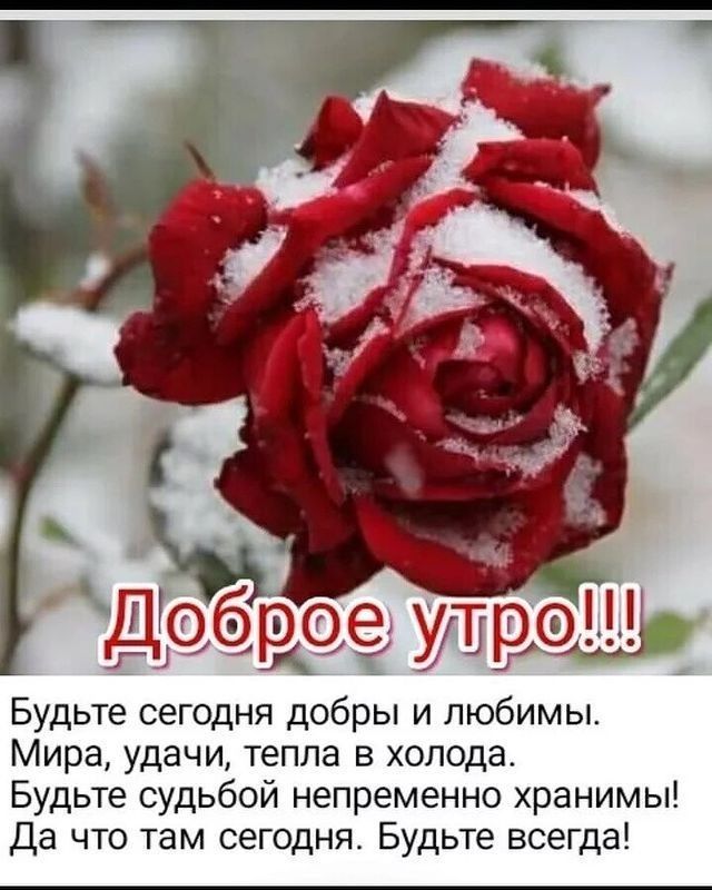 Будьте сегодня рдобры и любимы Мира удачи тепла в холода Будьте судьбой непременно хранимы Да что там сегодня Будьте всегда
