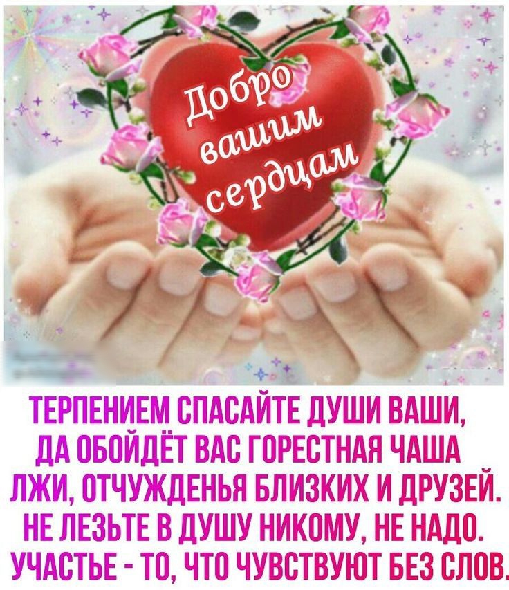 ТЕРПЕНИЕМ СПАВАИТЕ ДУШИ ВАШИ дА ПБПИДЕТ ВАС ГПРЕВТНАЯ ЧАША _ ЛЖИ ОТЧУЖДЕНЬЯ БЛИЗКИХ И ДРУЗЕИ НЕ ЛЕЗЬТЕ В ДУШУ НИКПМУ НЕ НАДО УЧАВТЬЕ ТО ЧТО ЧУВСТВУЮТ БЕЗ ВЛВВ