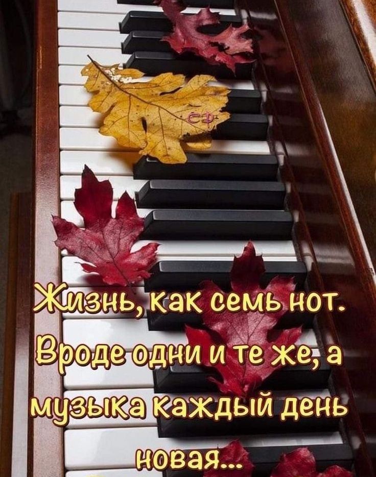 ГТзн ь как семьънот Зрод де эдни и тёже муШзык к7аждьий день ___ новая