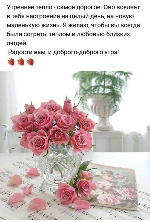 Утреннее тепло самое дорогое Оно вселяет в тебя настроение на целый день на новую маленькую жизнь Я желаю чтобы вы всегда были согреты теплом и любовью близких людей Радости вам и доброго доброго утра 00