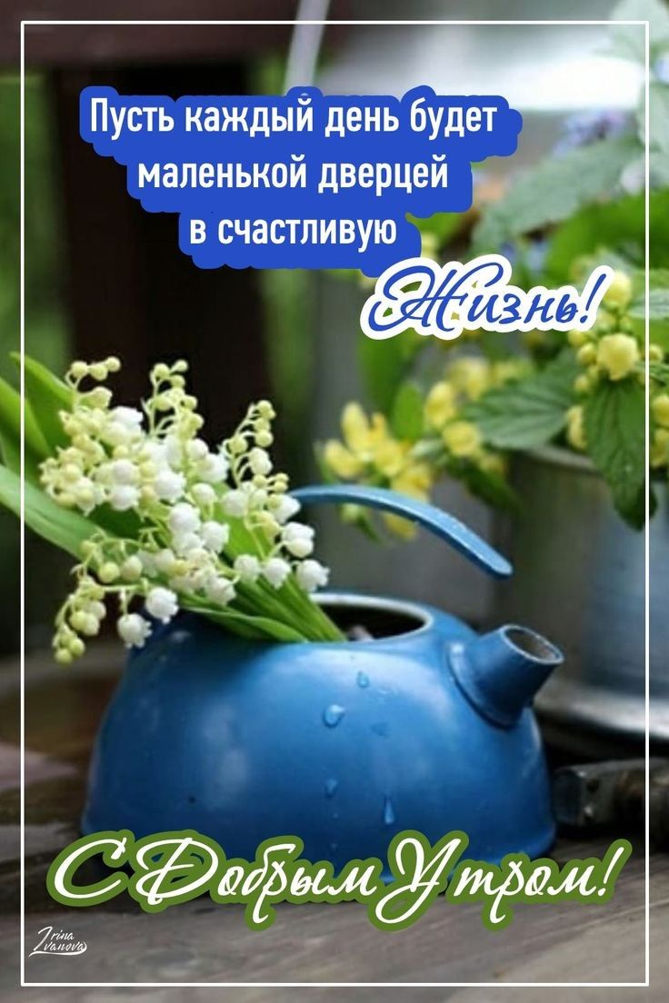 Пусть каждый день будет маленькой дверцей в счастливую