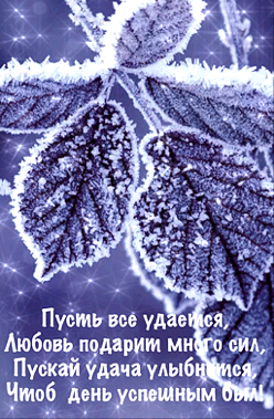 Чтоб двиьусмщиыт