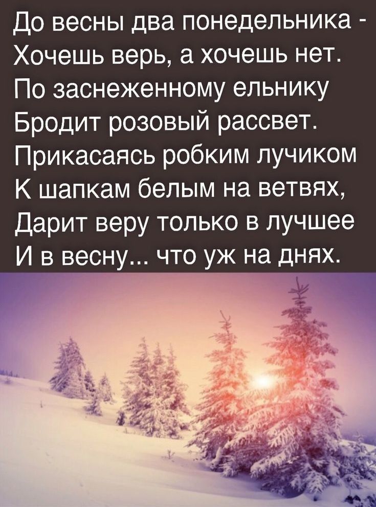 До весны два понедельника Хочешь верь а хочешь нет По заснеженному ельнику Бродит розовый рассвет Прикасаясь робким лучиком К шапкам белым на ветвях Дарит веру только в лучшее И в весну что уж на днях