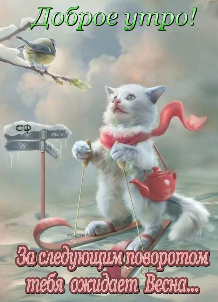Дбр утрЫ оэісидаетіВесна