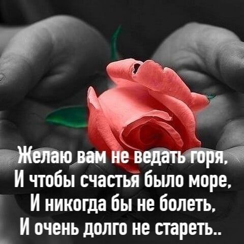 И чтобы счастья было море И никогда бы не болеть _ И очень долго не старт