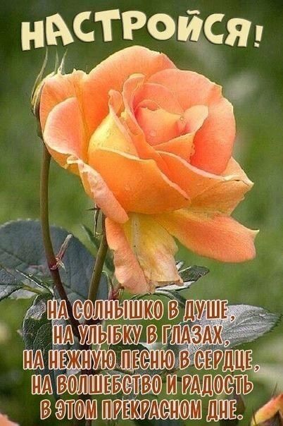 _ кювет шэволшээствошэшштъ __ вэтомштгджмШЩ