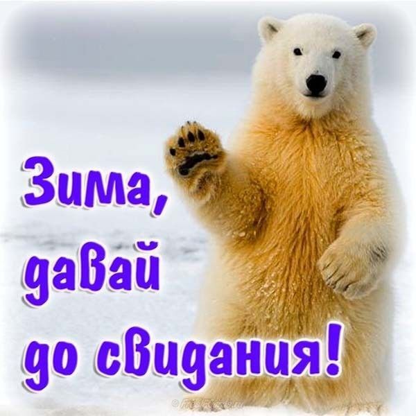 Зима 9аВёіі 90 дВп9аііця
