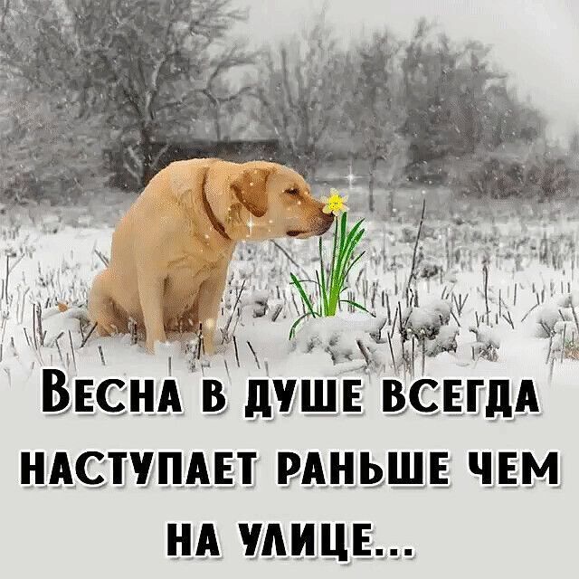 Весндвд ещ всегд НАСТУПАЕТ РАЦЬЩЕ ЧЕМ НА ШИЦЕ _