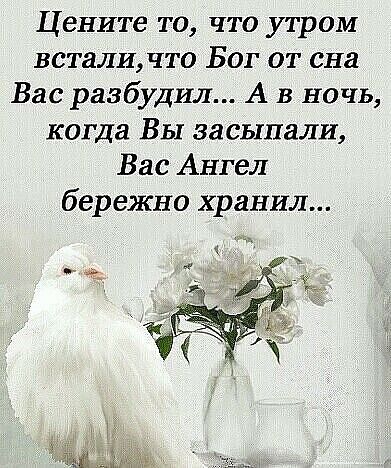 Цените то что утром встали что Бог от сна Вас разбудил А в ночь когда Вы засыпали Вас Ангел бережно хранил