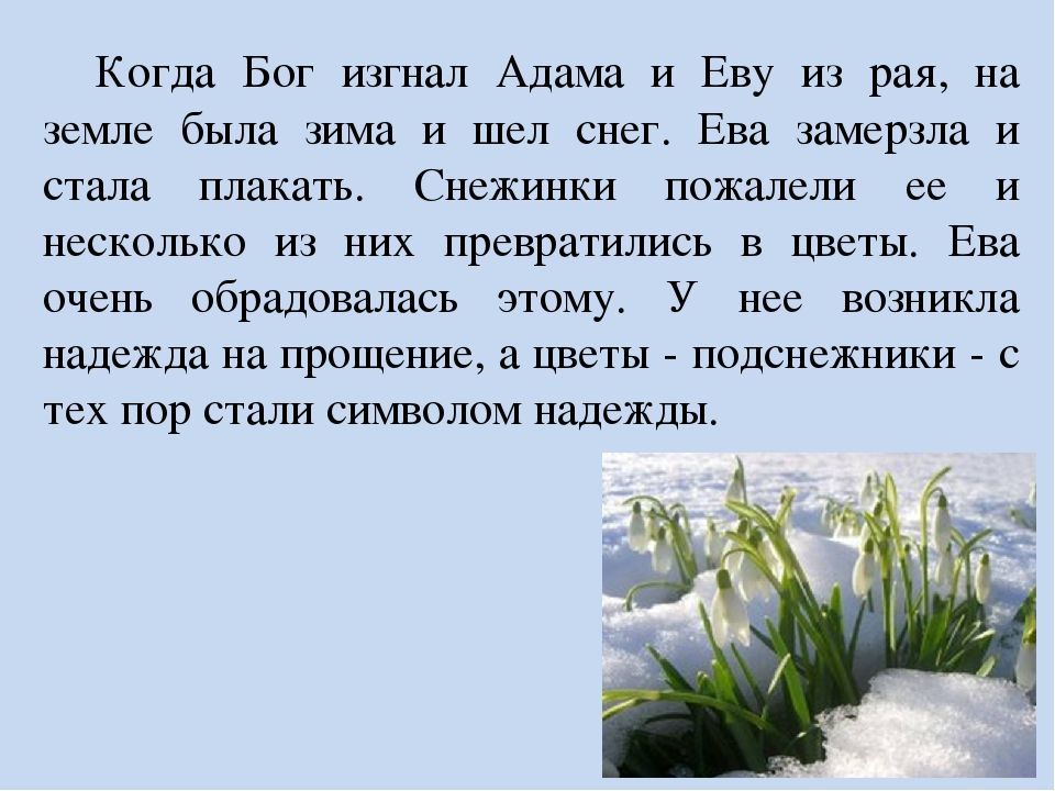 Когда Бог изгнал Адама И Еву ИЗ рая на земле была зима И шел снег Ева замерзла И стала плакать Снежинки пожалели ее И несколько из них превратшшсь в цветы Ева очень обрадовалась этому У нее возникла надежда на прощение а цветы подснежншш с тех пор стали символом надежды