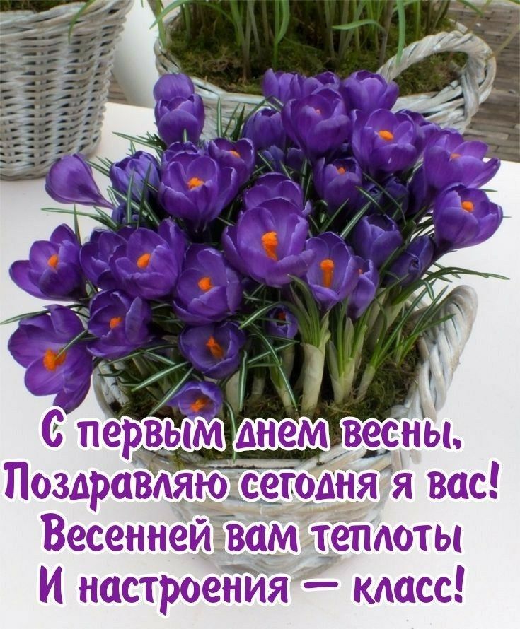 Поздравляюсегодня я вас Весеннёизам тепдоты И настроен Йя 53 масс