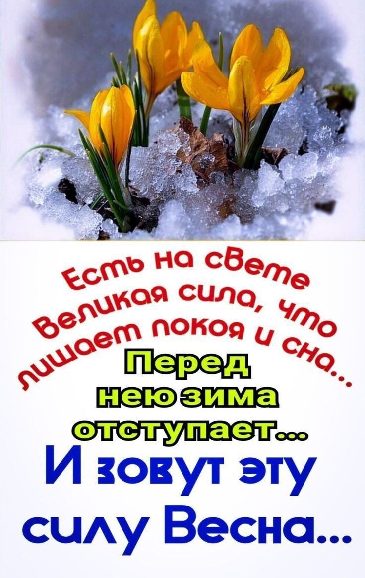 М ЭСТ Ь ШАУЁ 655631000