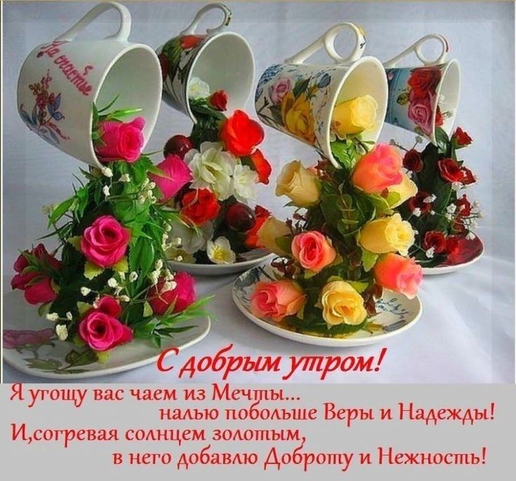 _ добримутром угощу вас чаем из Мгчгты шмью по мъше Веры и Надежды Исогревая сомщем зшютпым в него добавлю Доброту и Нежность