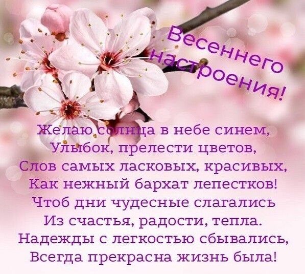 а в небе синей Уйькбок п елести цветов 3в самых ласковых красивых Ёкак нежный бархат лепестков Чтоб дни чудесные слагались Из счастья радости тепла Надежды с легкостью сбывались Всегда прекрасна жизнь была