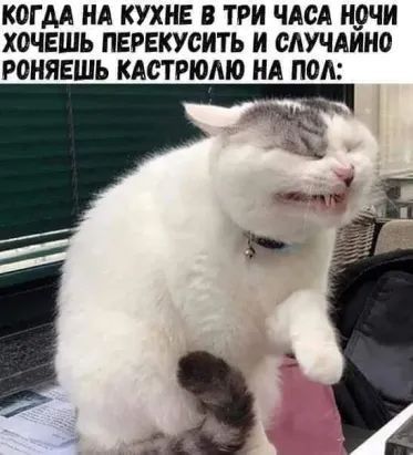 КОГДА НА КУХНЕ В ТРИ ЧАСА Н_9ЧИ Х0ЧЕШЬ ПЕРЕКУСИТЬ И СЛУЧАИНО РОНЯЕШЪ КАСТРЮМО НА ПОА