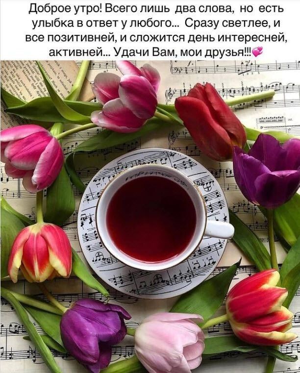 Доброе утро Всего лишь два слова но есть улыбка в ответ у любого Сразу светлее и все позитивней и сложится день интересней Удачи Вам мои друзья