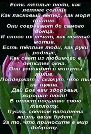 Есть тёплые люди как летнее 0 Как ласкавы вк моря Оми согр ют до нца и слово их ит как щи з _ то приносите мир доброту