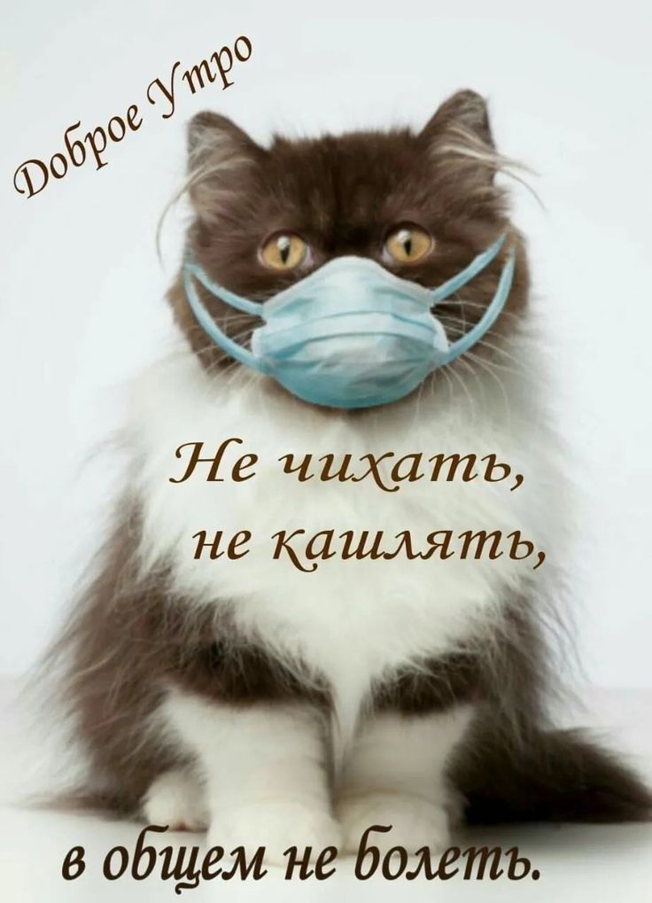 УГе чихать не кашлять во щемнгб