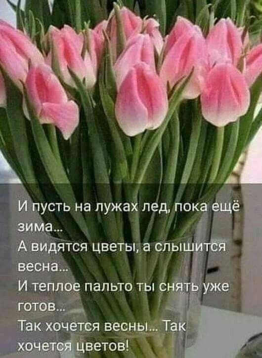 И ПУСТЬ НЗ ПУЖЗХ пед пока ещё зима А видятся цветы а слышітбі весна И теплое пальто ты счёт готов Так хочется весны __ оче Ёдветов