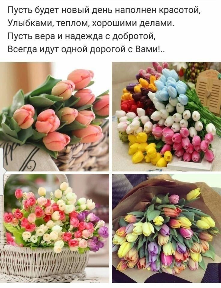 Пусть будет новый день наполнен красотой Улыбками теплом хорошими делами Пусть вера и надежда с добротой Всегда идут одной дорогой с Вами