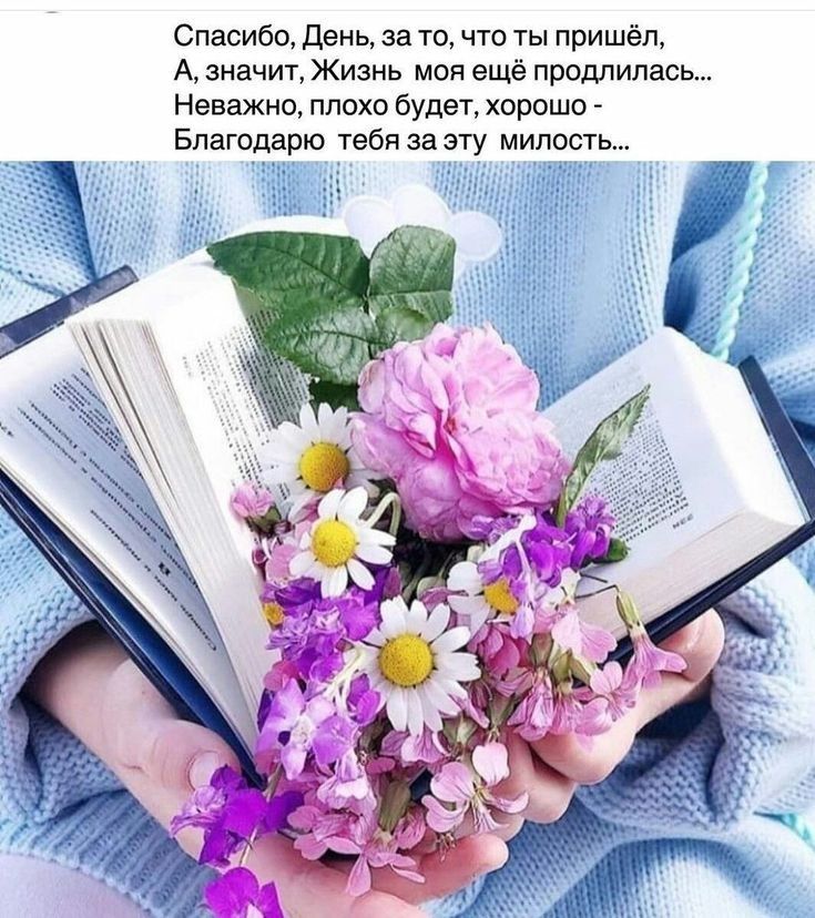 Спасибо День за то что ты пришёл А значит Жизнь моя ещё продлилась Неважно плохо будет хорошо Благодарю тебя за эту милость
