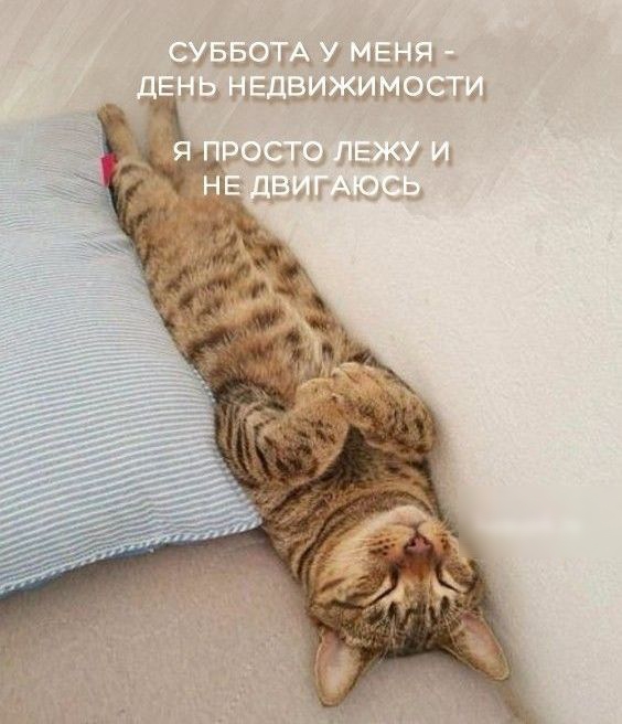 Ставит у мены _ г эздыэжшщэсг і щ