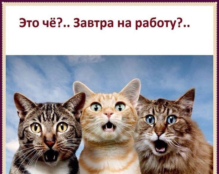 Это чё Завтра на работу