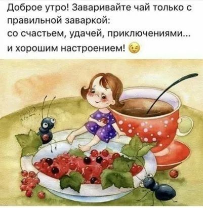 доброе утро Заваринайте чай только правильной заваркой со счастьем удачей приключениями и хорошим настроением