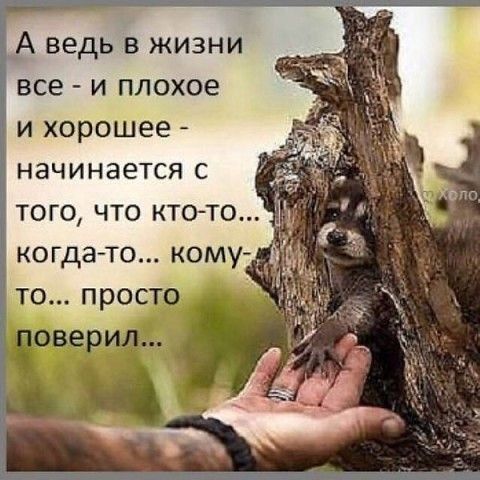 А ведь в жизни все и плохое и хорошее начинается с того что ктото когда то кому