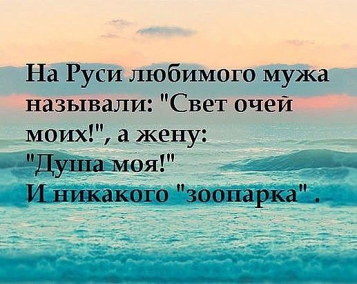 На Руси любимого мужа называли Свет очей моих а жену Душамоя _ Иви какого зоопарКа