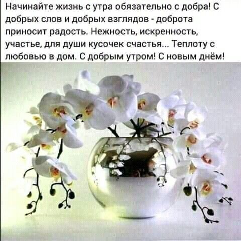 Начинайте жизнь с утра обязательно с добра С добрых слов и добрых взглядов доброта приносит радость Нежность искренность участье для души кусочек счастья Теппоту любовью в дом С добрым утром С новым днём