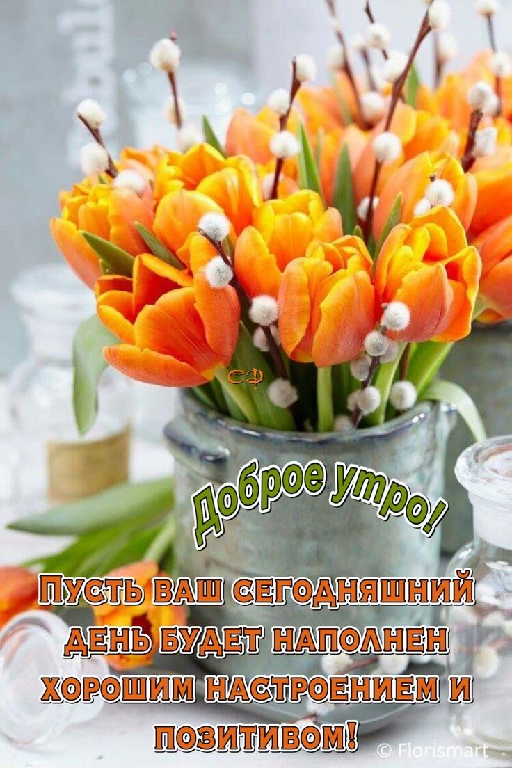 Н ШЁЁШЁШВФБЯП