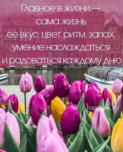 дчэ т ИЁНИ _ само жизнь ее вкус цвет ритм зопфё