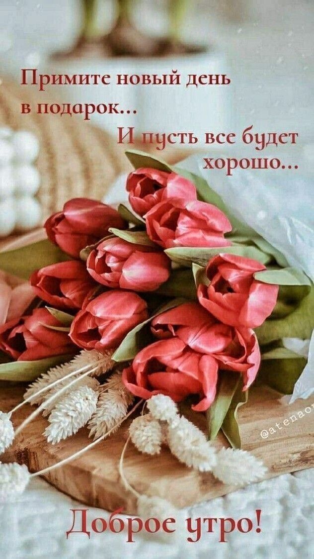 П Примите новый день в подарок И пвсть все быдет _ хорошо к дч у ороё троі