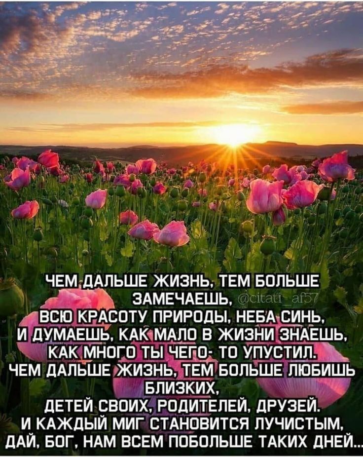 ЧЕМ дАПЬШЕ жизнь тЕм ЕопьщЕ Ъ ЗАМЕЧАЕШЬ ивсю кРАсоту природы нЕЕАсЩь и дУМАЕШЬ КАКтМШр в жизни ЗНАЕШЬ кАк много ты ЧЁгр то упустил ЧЕМ ДАЛЬШЕ жизнь ТЕМ вппьшв ПТовишь БЛИЗКИХ _ _ дЕТЕИ своих РОДИТЕПЕИ ДРУЗЕИ и КАЖДЫЙ миг СТАНОВИТСЯ лучистым дАЙ БОГ НАМ ВСЕМ ПОБОПЬШЕ ТАКИХ ДНЕЙ