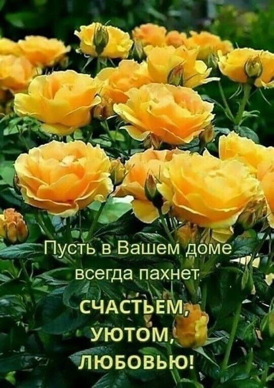 д Вашем дрМе_ ___ _ всегда пахнет 4 А у СЧАстЁЕЁлм Ы уютомі Ь