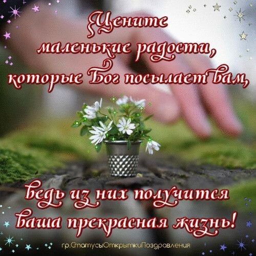 3111 рсп на я __ грГпеп ь Позэдпшцыя