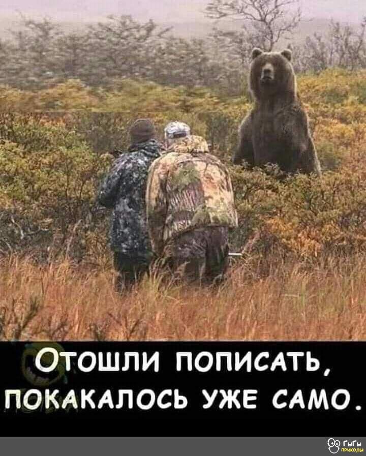А А к ___ _ _ _ Отошли пописпь покдктось уже САМО